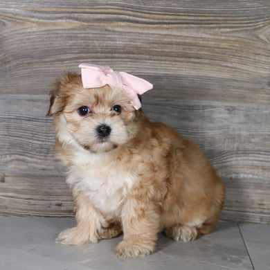 Skylar - Available 5/21