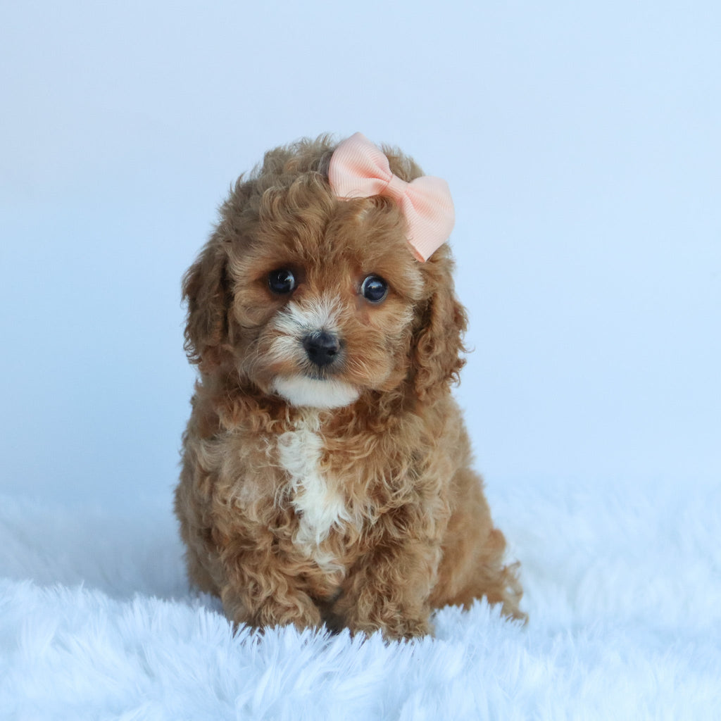 Theresa - Available 10/15