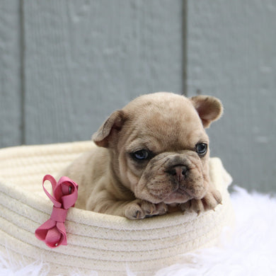 Samantha - Available 6/11