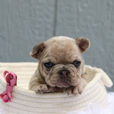 Samantha - Available 6/11