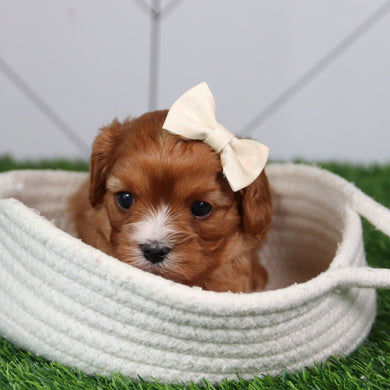 Kathy- Available 6/11