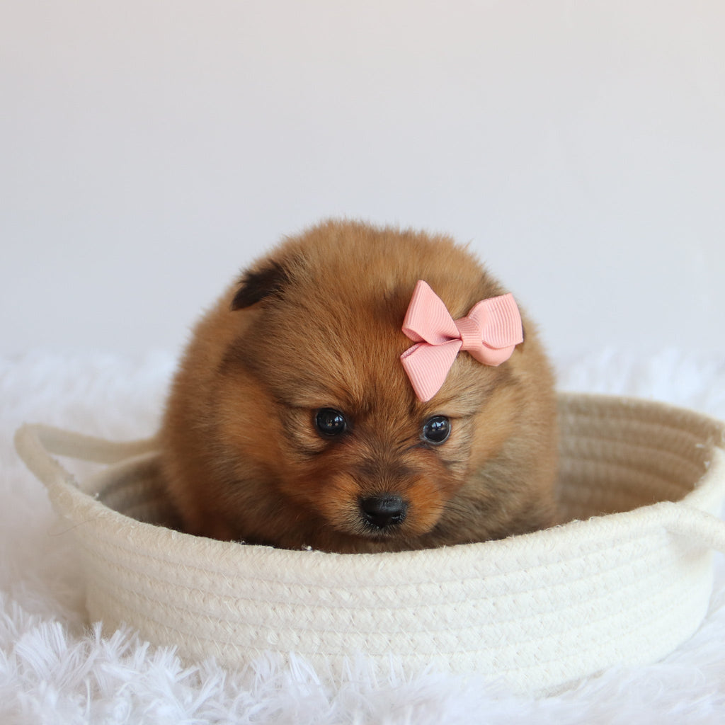 Matilda - Available now
