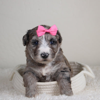 Claire - Available 6/4