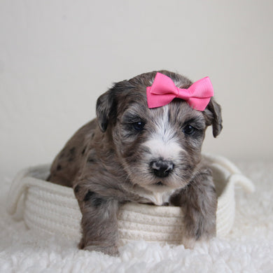 Claire - Available 6/4