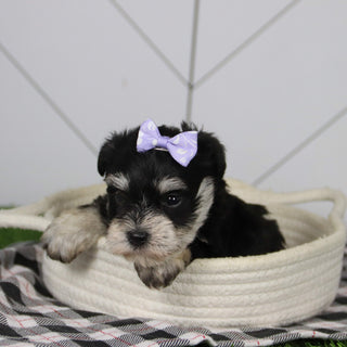 Jessica - Available 12/31