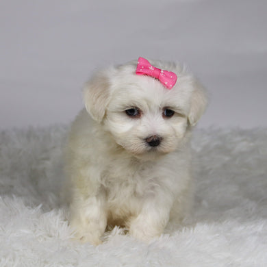 Kari - Available 11/12