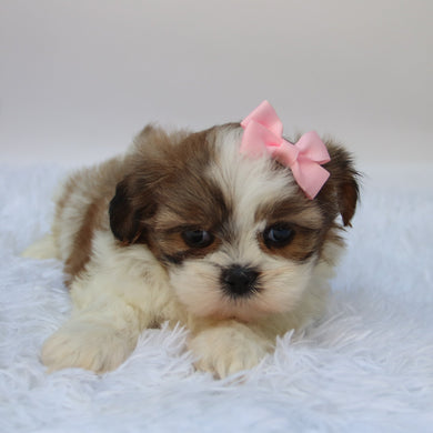 Brenda - Available 10/7