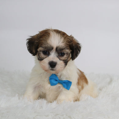 Topper - Available 10/15