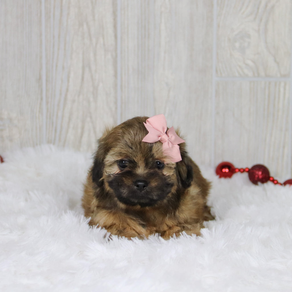 Tammy - Available 1/14