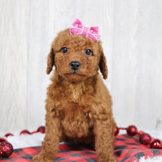 Beatha - Available 12/3