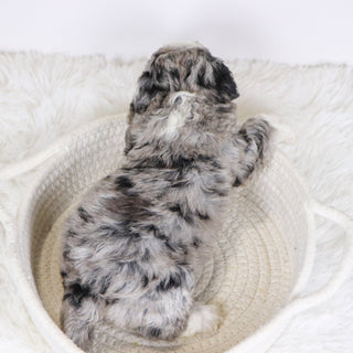 Carla - Available 12/10