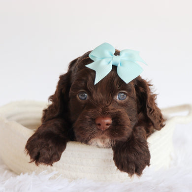 Delilah - Available 7/23