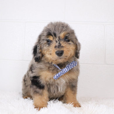 Ekon - Available 1/15