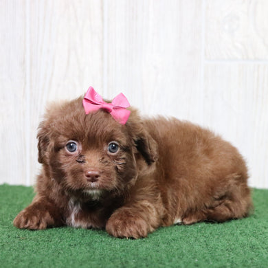 Esther - Available 5/28