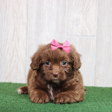 Esther - Available 5/28