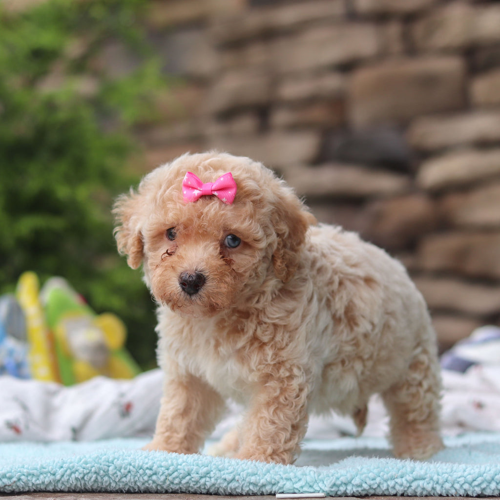 Matilda - Available 6/11