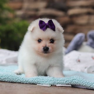 Tina - Available 6/25
