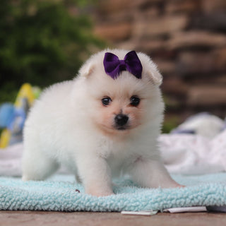 Tina - Available 6/25