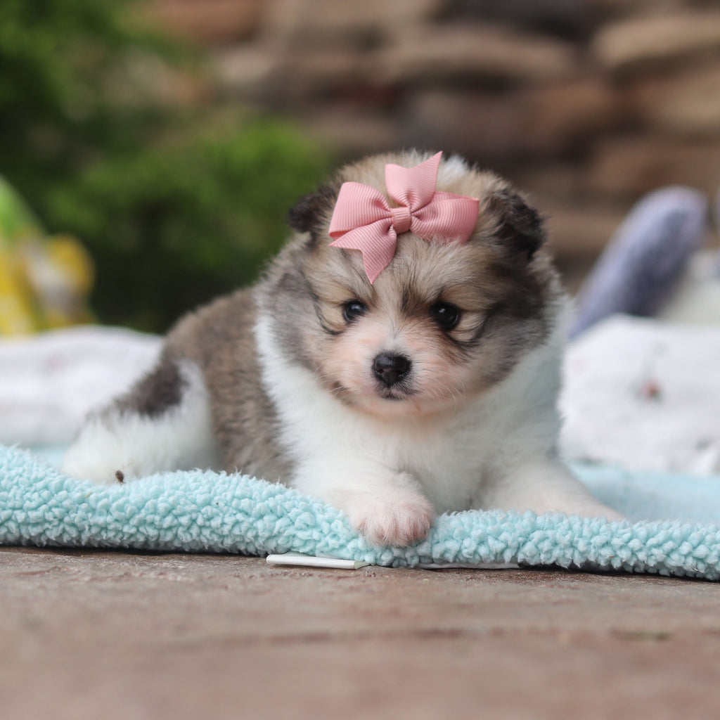 Becky - Available 6/25