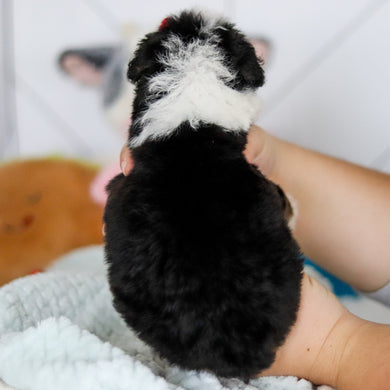 Summer - Available 5/14