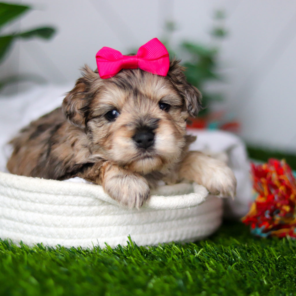 Kendra - Available 2/18