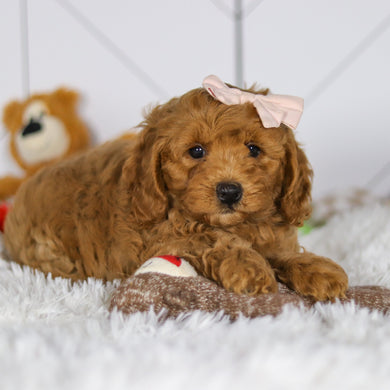 Ellie - Available 5/7