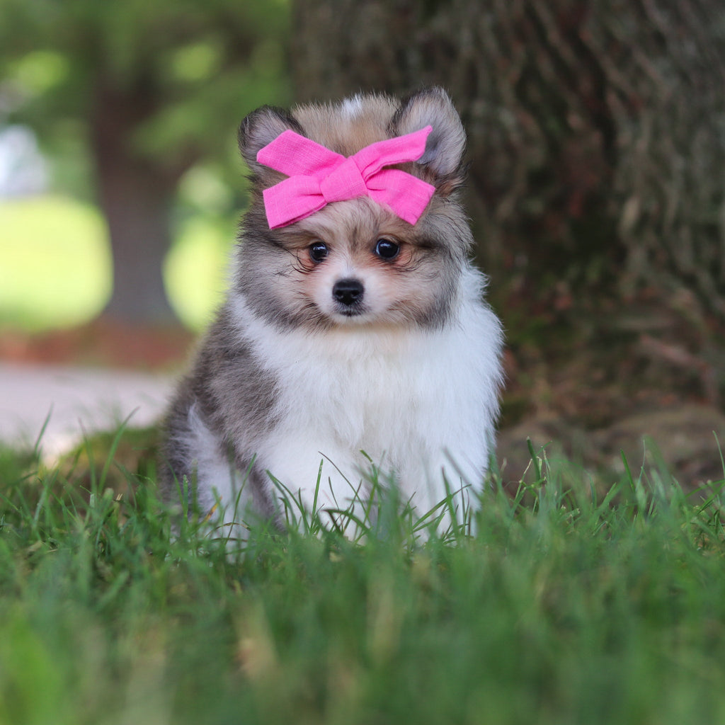 Becky - Available 6/25