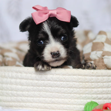 Kaia - Available 5/7