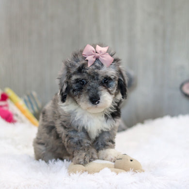 Jodie - Available 10/29