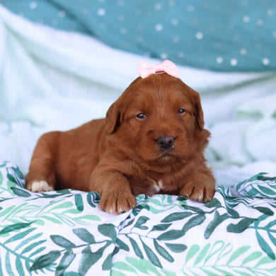 Jenny - Available 5/14