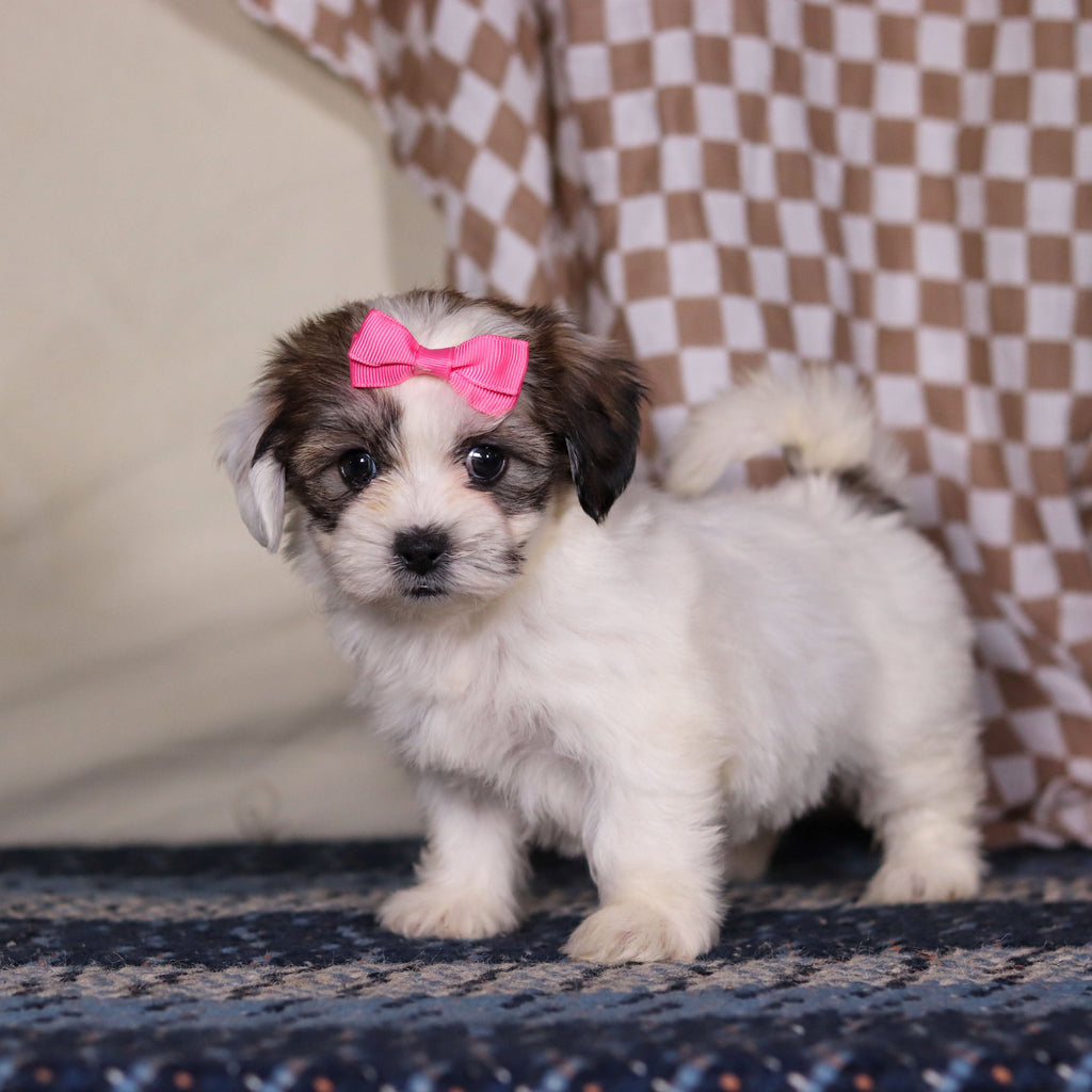 March - Available 3/12