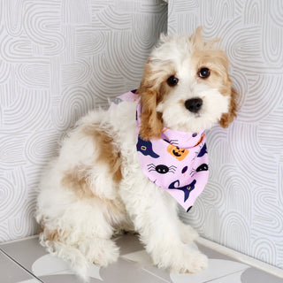 Hattie - Available Now