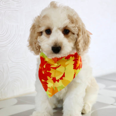 Sebastians - Available Now