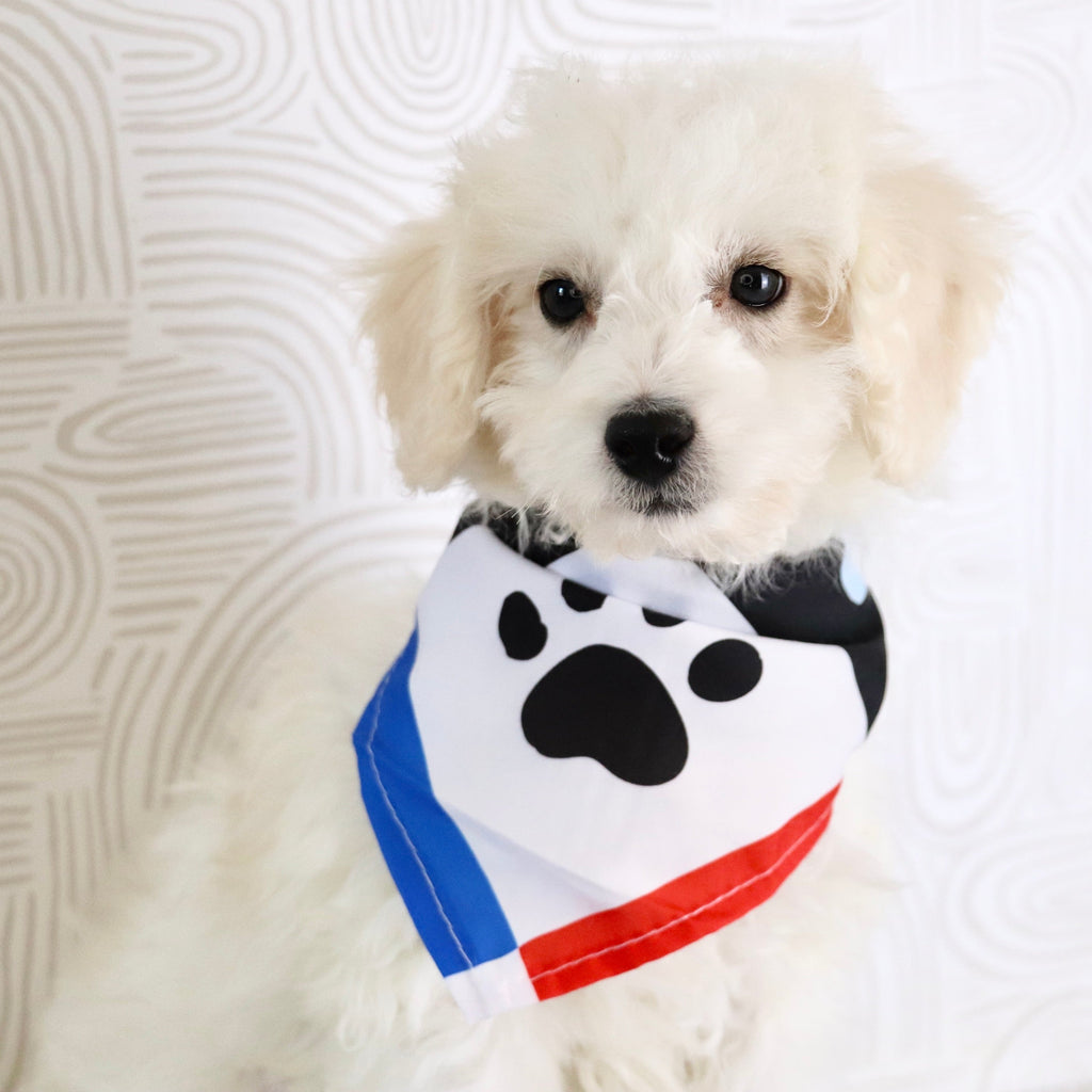 Cleveland - Available Now