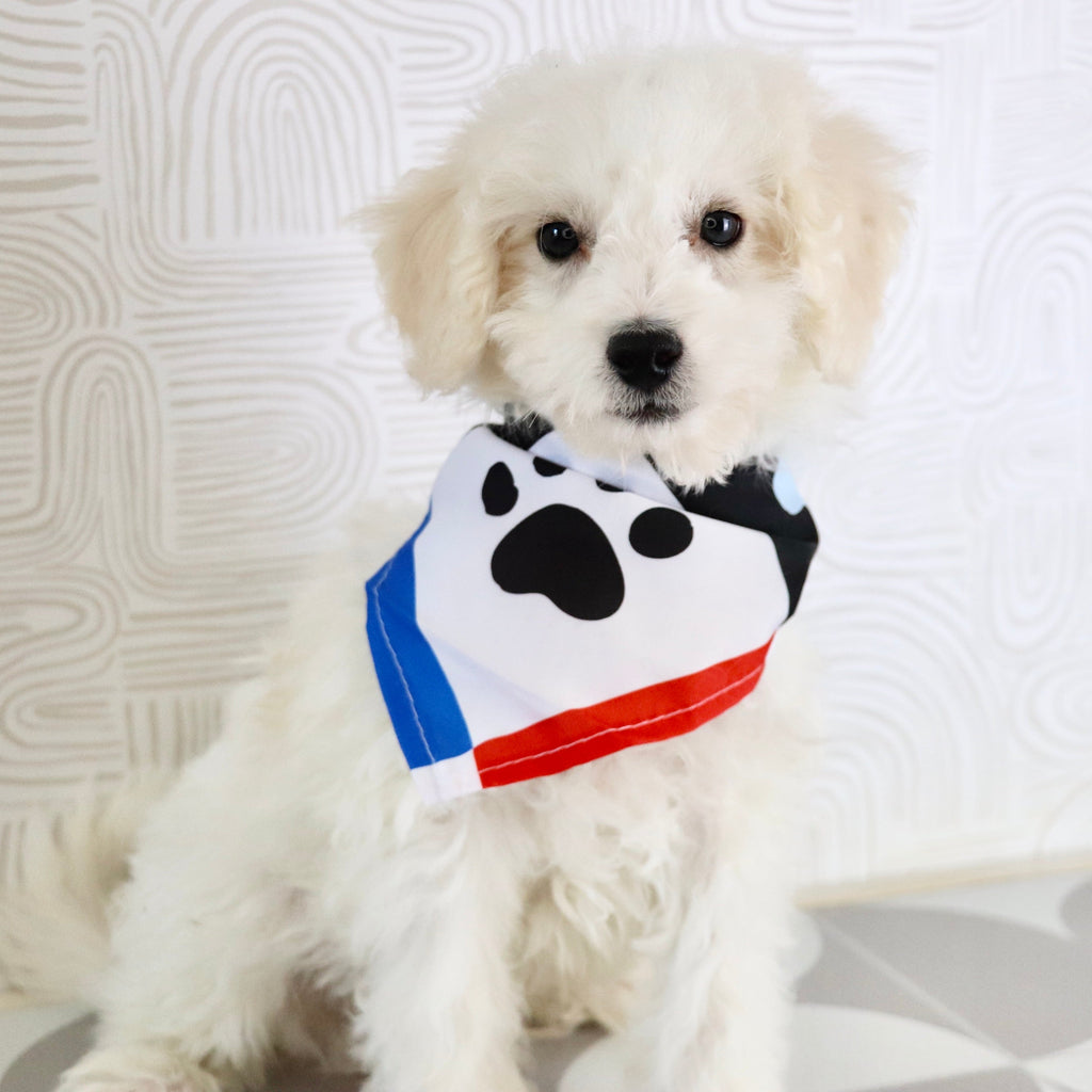 Cleveland - Available Now