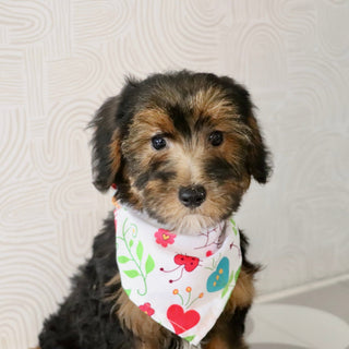 Eleanor - Available Now