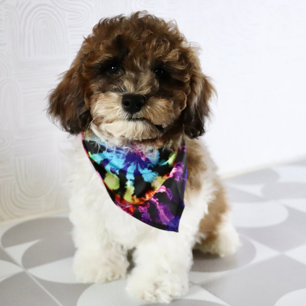 Buckeye - Available Now