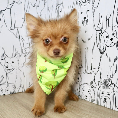 Marvin - Available Now
