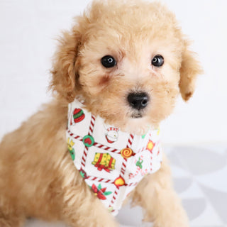 Blue - Available Now