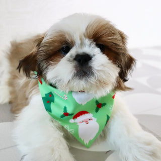 Will - Available Now