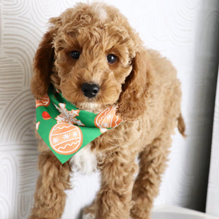 Belen - Available Now