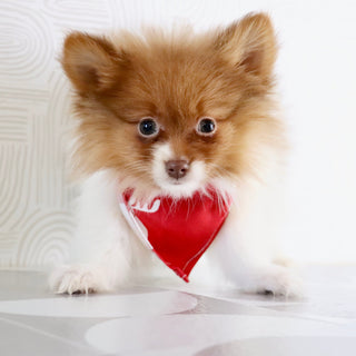 Adwin - Available Now