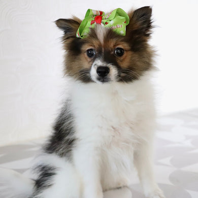 Maggie - Available Now