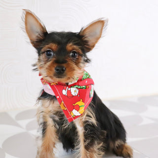 Trudy - Available Now