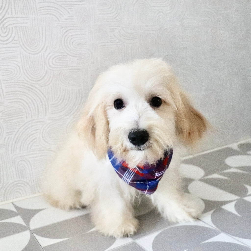 Odin - Available Now