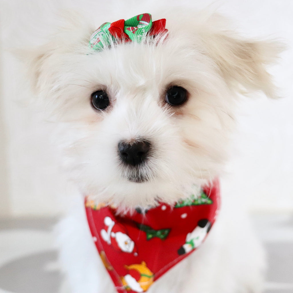 Nicki - Available Now