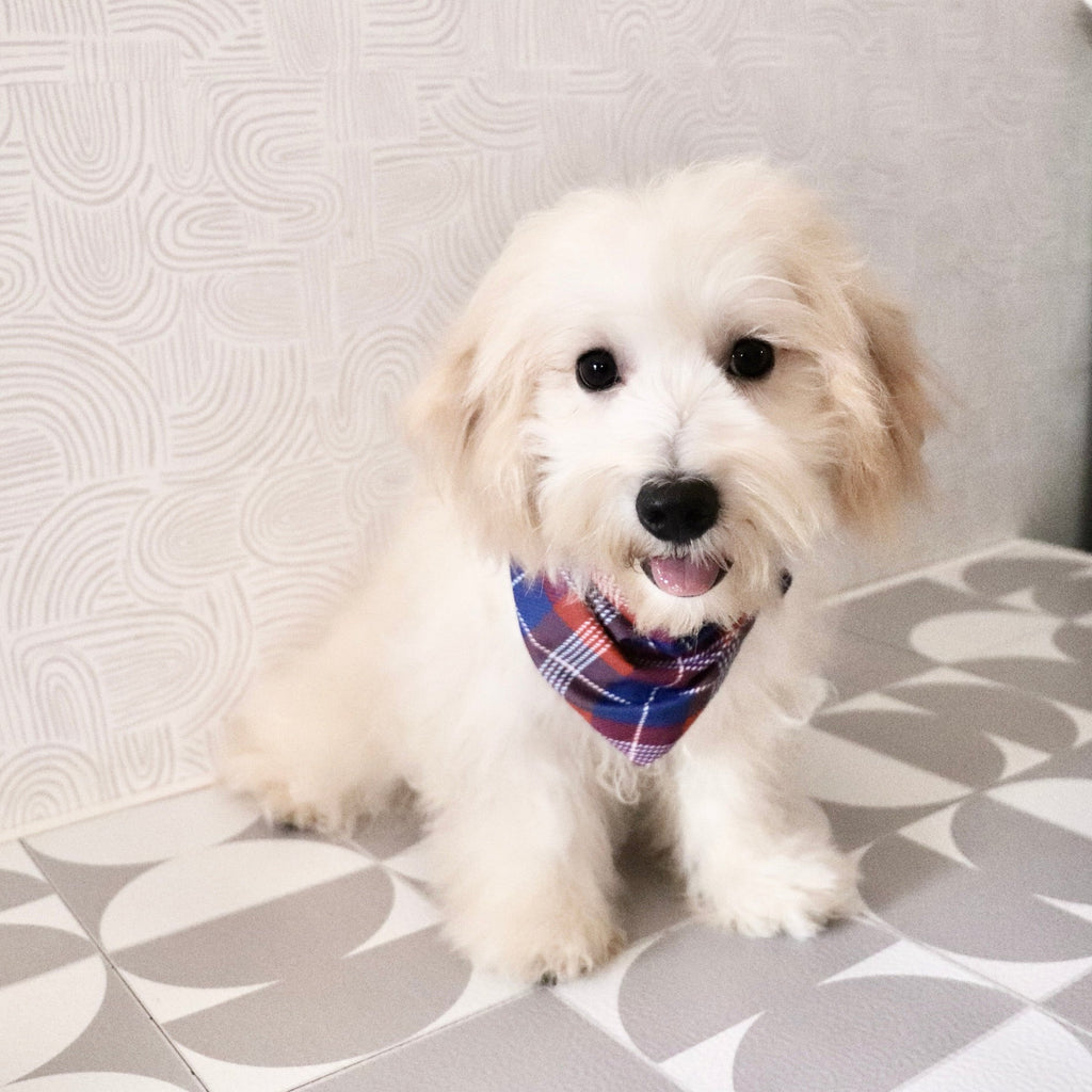 Odin - Available Now
