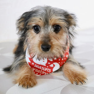 Fairway - Available Now