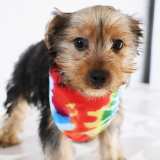 Barden - Available Now