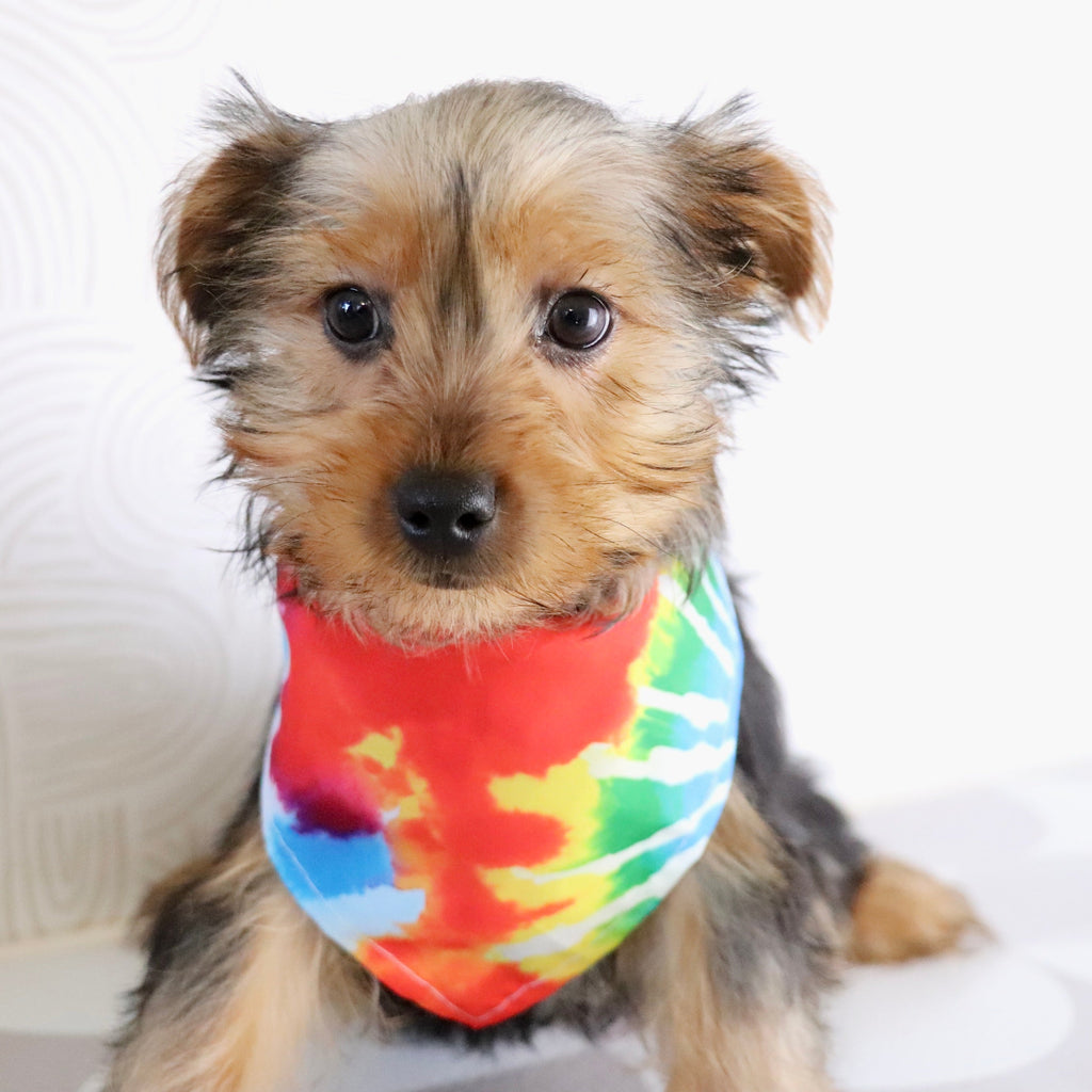 Barden - Available Now